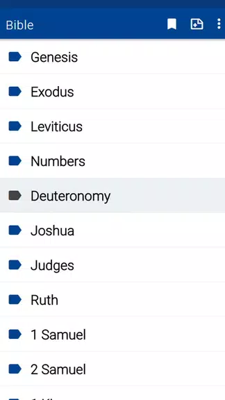 Spurgeon Bible Commentary应用截图第1张