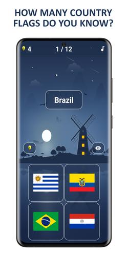 Flags Quiz: Guess The Flagスクリーンショット0