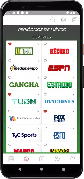 Screenshot Mexican Newspapers 1