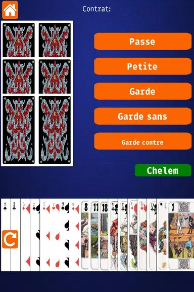 Net.Tarot स्क्रीनशॉट 1