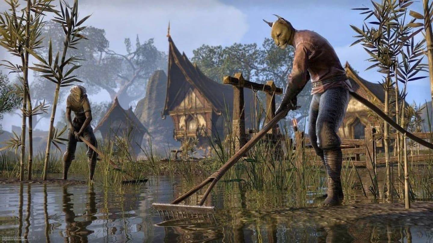Gamer chi 100 nghìn đô la cho vai trò của Elder Scrolls VI