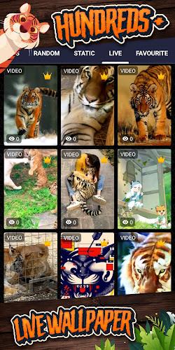 tiger background ဖန်သားပြင်ဓာတ်ပုံ 2