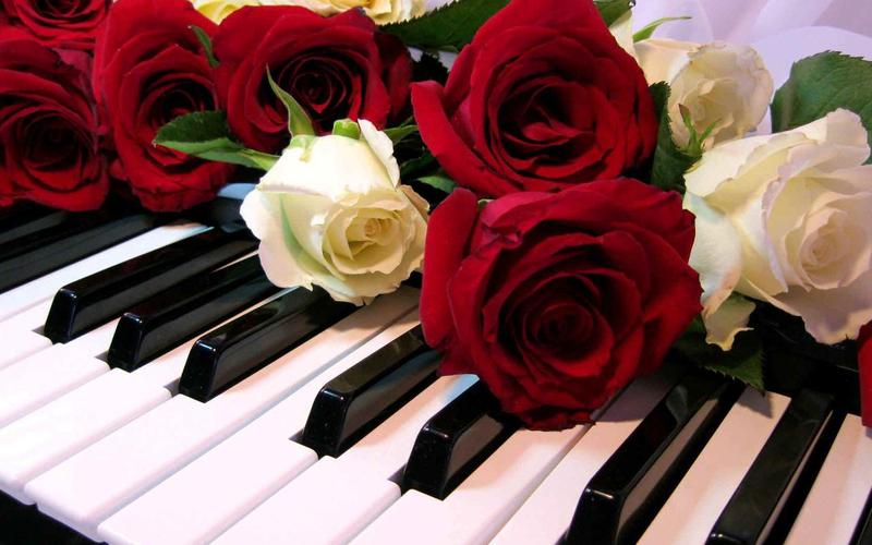 Roses Jigsaw Puzzles capture d’écran 0