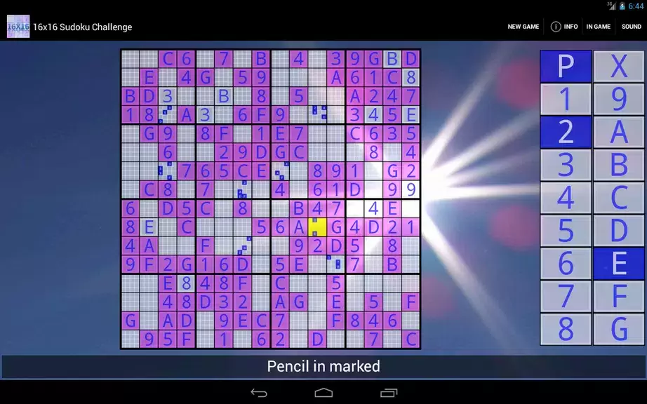 16x16 Sudoku Challenge HD 스크린샷 2