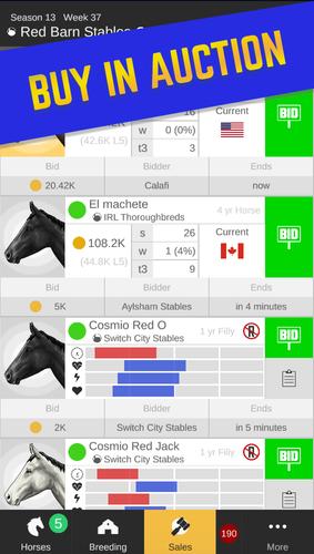 Stable Champions capture d’écran 3