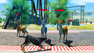 Doberman Dog Simulator スクリーンショット 1