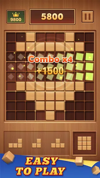 ภาพหน้าจอ Wood Block 99 - Sudoku Puzzle 2