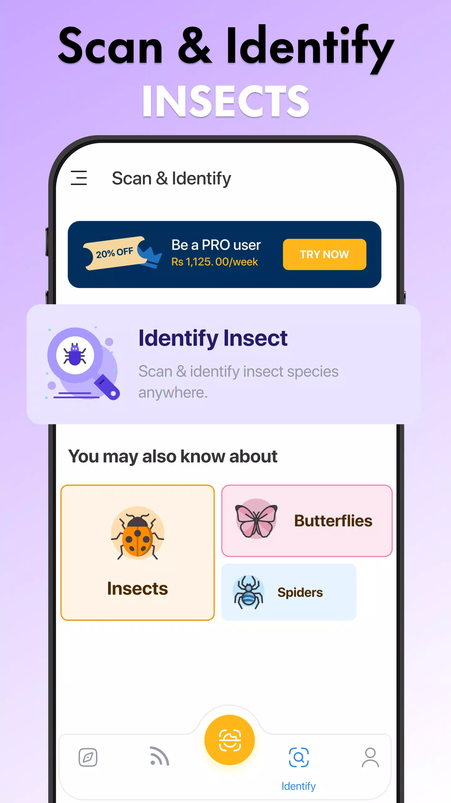 Screenshot Insect Identifier Bug Identify 3