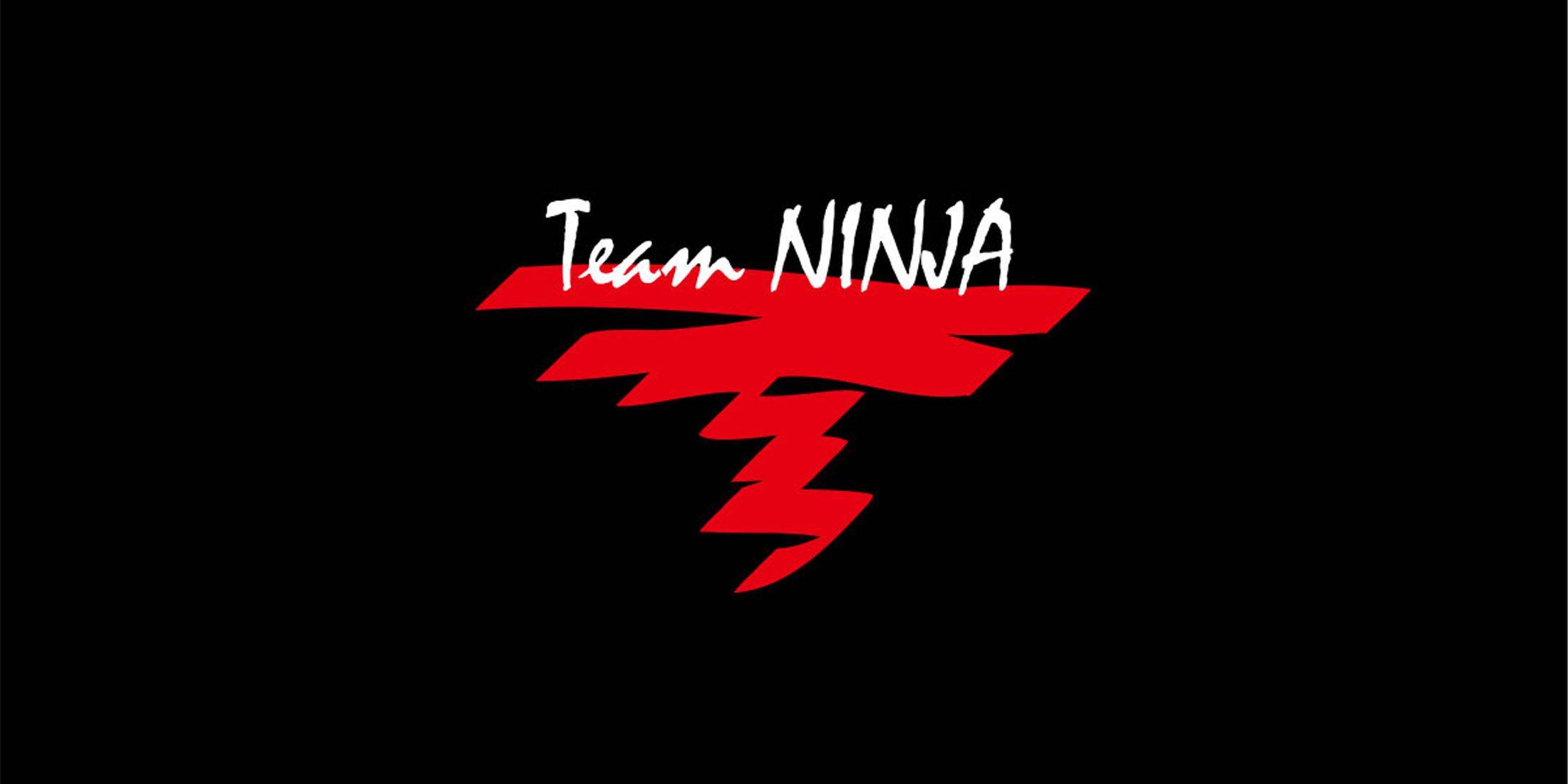 Team Ninja が 30 周年記念プランを予告