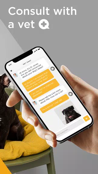 Petcube应用截图第3张