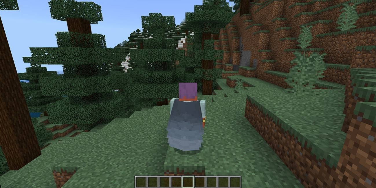 elytra ใน minecraft