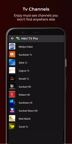 Hêvî TV Pro ảnh chụp màn hình 3