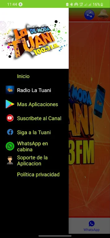Screenshot Radio la Tuani - 100.3 FM 2