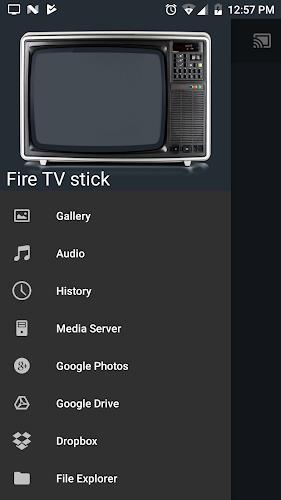 Screenshot All Screen Cast to TV Roku 3