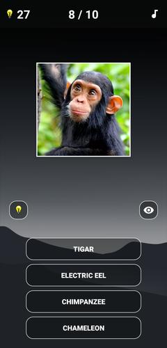 Animal Quiz: Guess the Animalスクリーンショット0