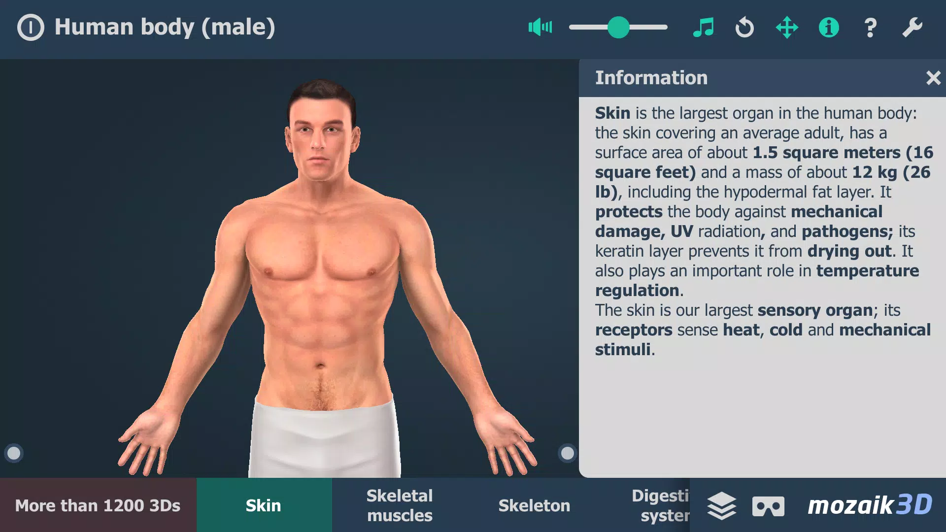 Human body (male) 3D scene屏幕截圖0
