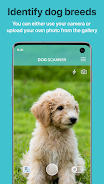 Dog Scanner: Breed Recognition zrzut ekranu 0