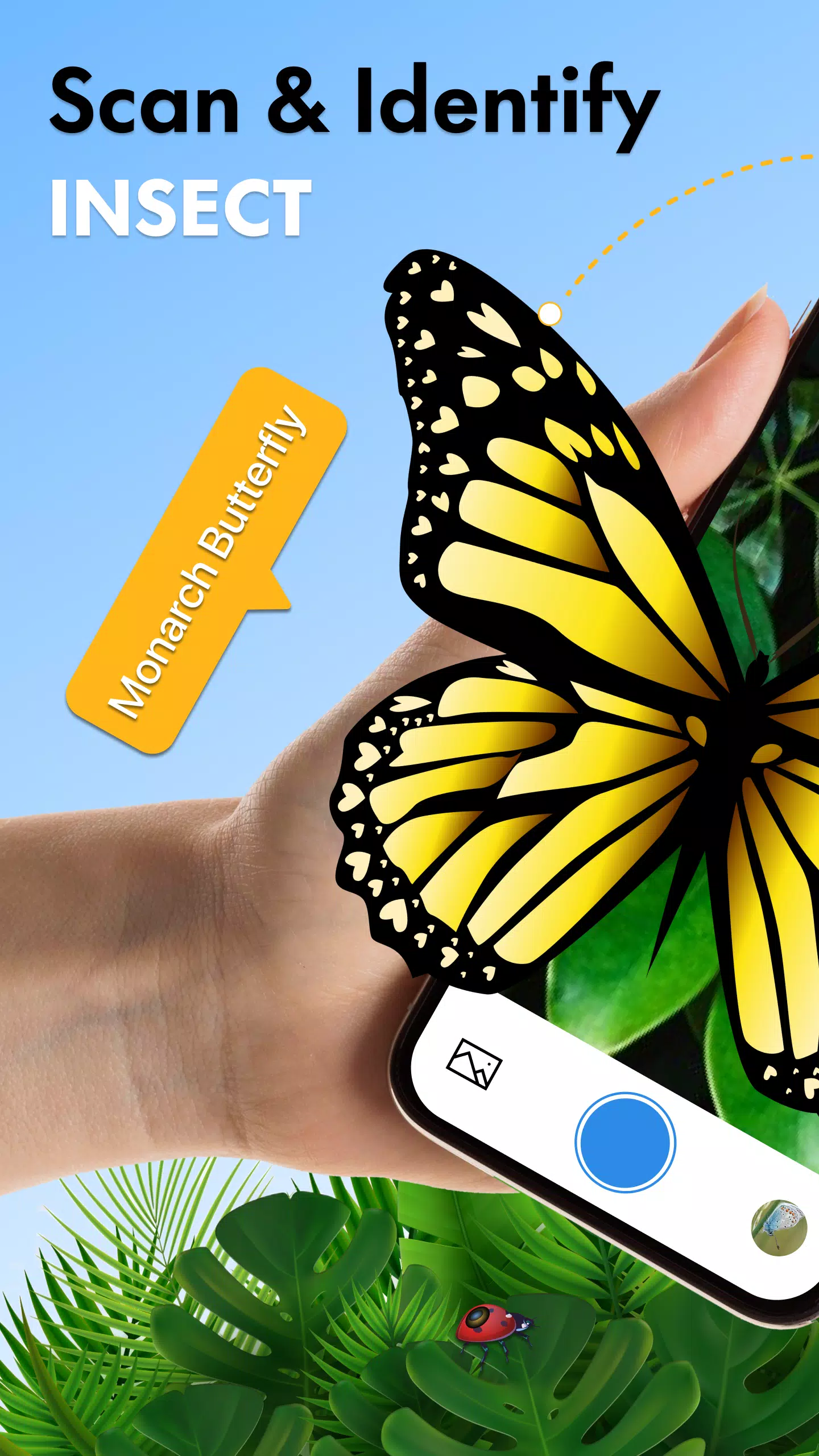 Screenshot Insect Identifier Bug Identify 0