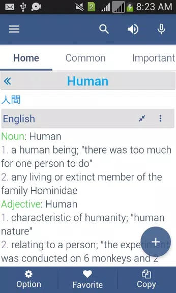 Screenshot Japanese Dictionary Offline 2