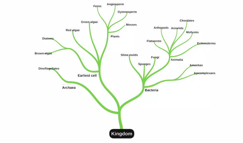 miMind - Easy Mind Mapping Schermafbeelding 1