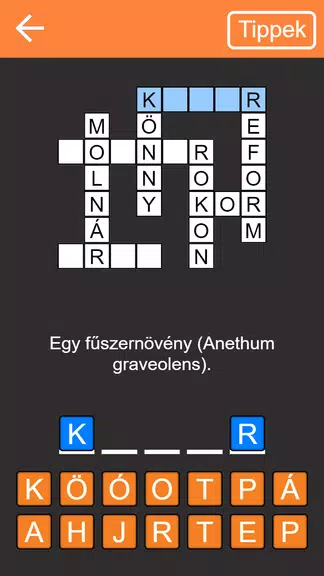 Keresztrejtvény屏幕截圖0