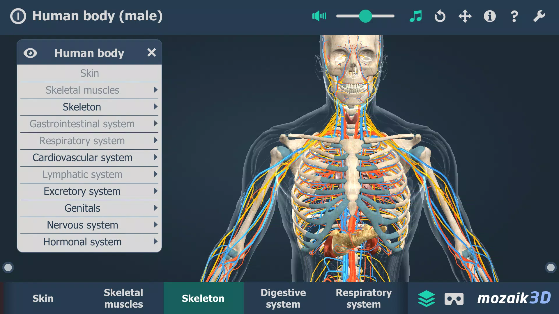 Human body (male) 3D scene屏幕截圖3