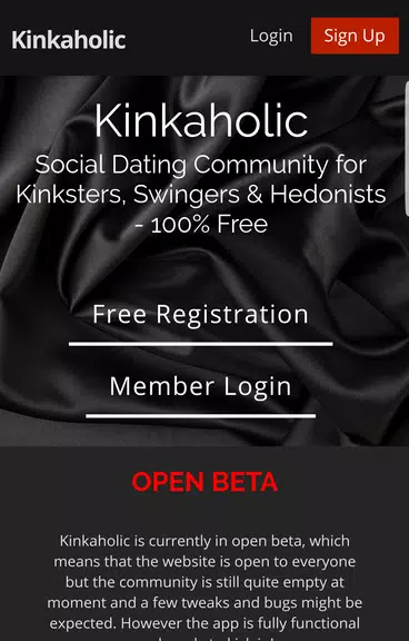 Screenshot Kinkaholic 0