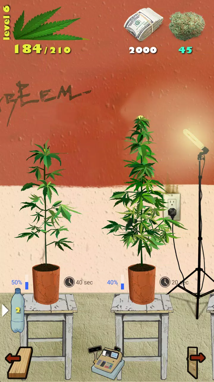 Weed Firm zrzut ekranu 1