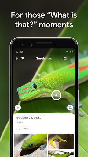 Google Lens ảnh chụp màn hình 0