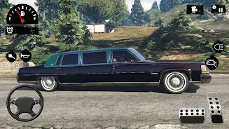 Big Car Limo Driving Simulator экрана 1