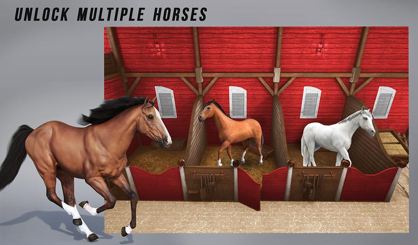 Horse Show Jump: Horse Games capture d’écran 1