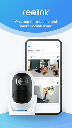 Reolink screenshot 2
