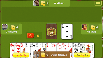 Screenshot Forest Rummy 1