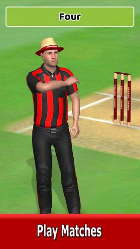 Cricket World Domination экрана 2