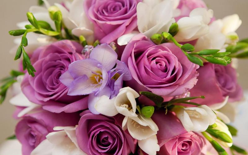 Roses Jigsaw Puzzles capture d’écran 1