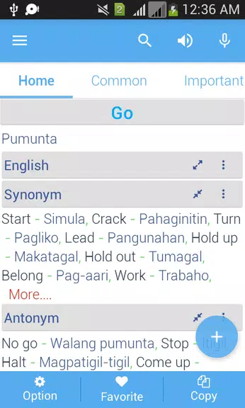 Filipino Dictionary Multifunct Screenshot 2