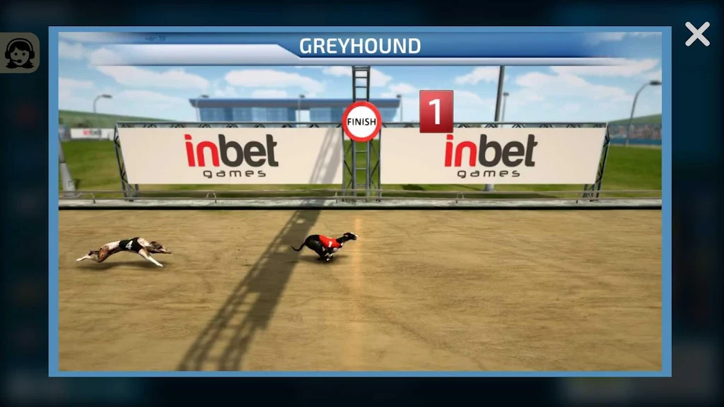 Dogs3D Races Betting Screenshot 3
