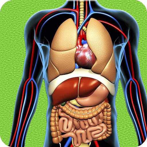 Human Anatomy Pro Trivia