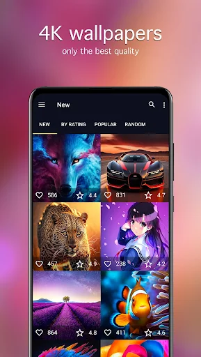 7Fon: Wallpapers & Backgrounds应用截图第3张
