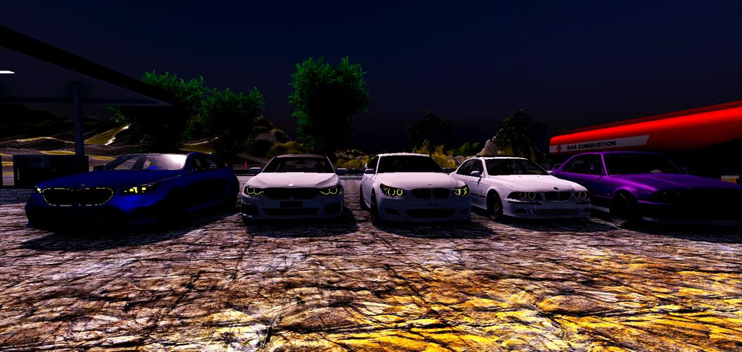 Driving Simulator BMW screenshot 0