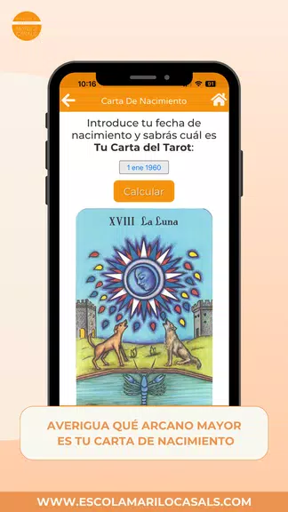 Screenshot Curso Tarot Esc. Mariló Casals 1