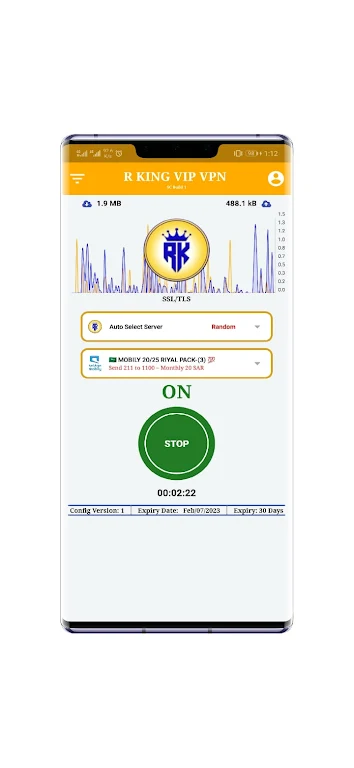 R King vip vpn capture d’écran 1