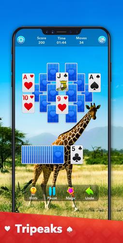 Solitaire Collection Ảnh chụp màn hình 2