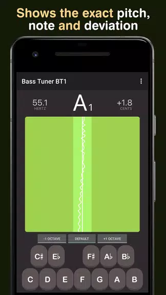 Bass Tuner BT1屏幕截圖1