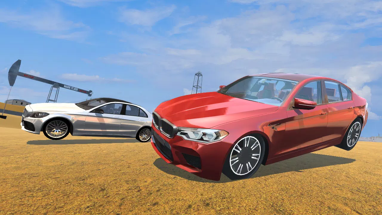 CarSim M5&C63 screenshot 3