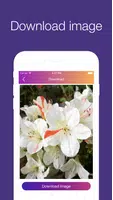 InstaSave screenshot 1