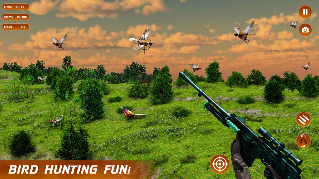 Pheasant Shooter Birds Hunting屏幕截圖3