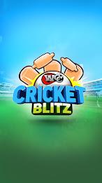 WCC Cricket Blitz 스크린샷 0