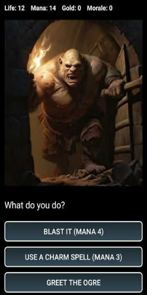 Dungeons and Decisions RPG captura de pantalla 0