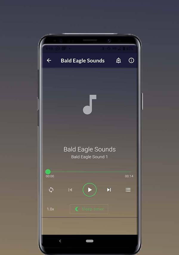 Bald Eagle Sounds屏幕截圖1